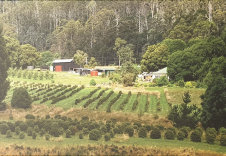 The farm in winter